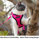 Mr. Peanut's PurrTrek Reflective Cat Harness with Matching Leash - By Baano