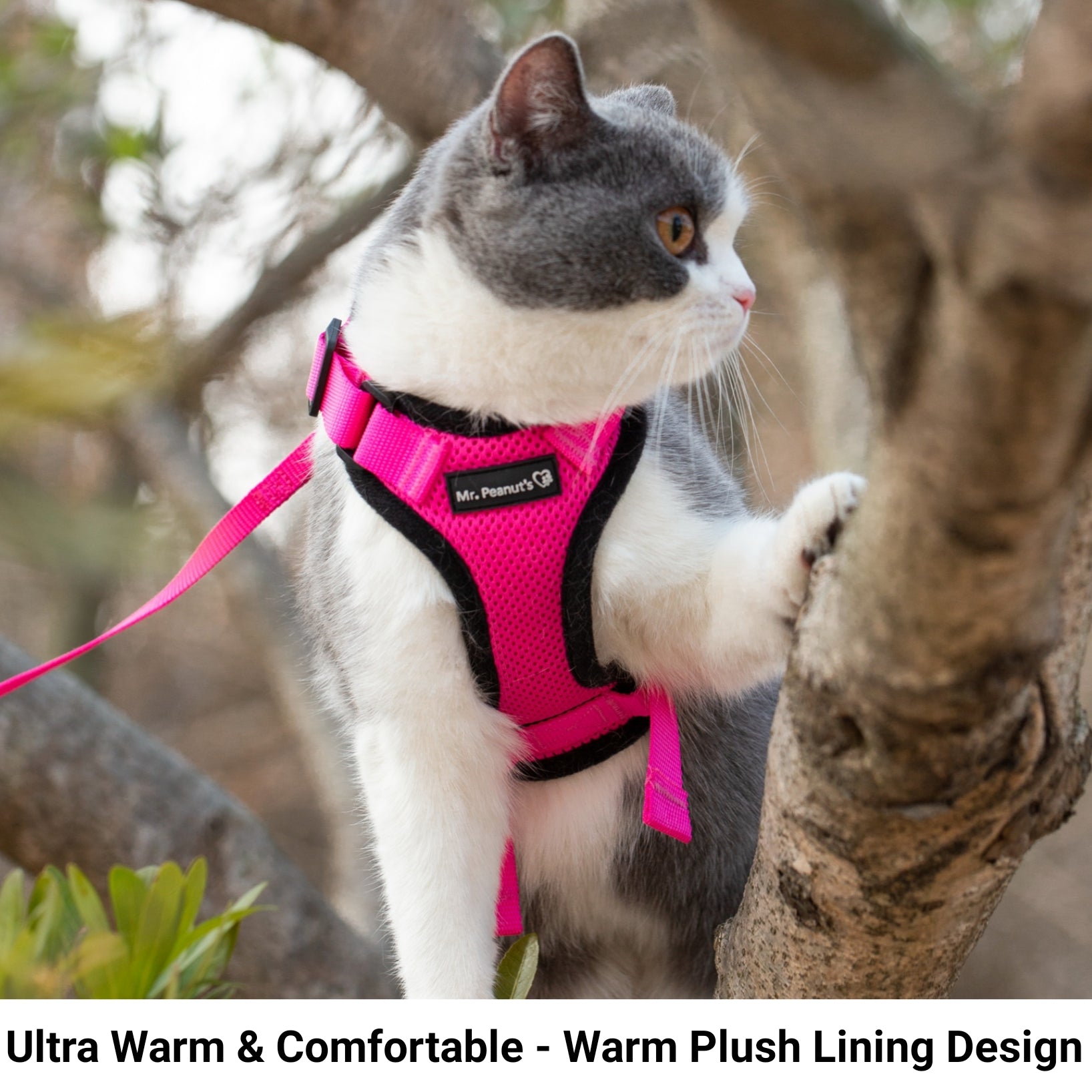 Mr. Peanut's PurrTrek Reflective Cat Harness with Matching Leash - By Baano