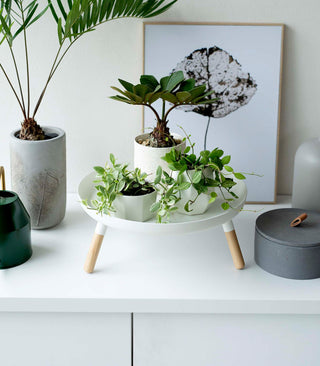 Countertop Pedestal Tray (5" H)  - Steel + Wood - By Baano