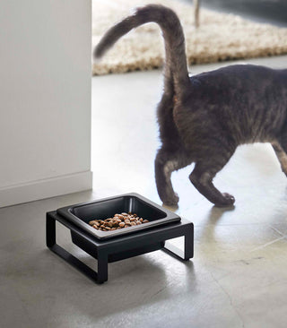 Single Pet Food Bowl - Steel + Ceramic - By Baano