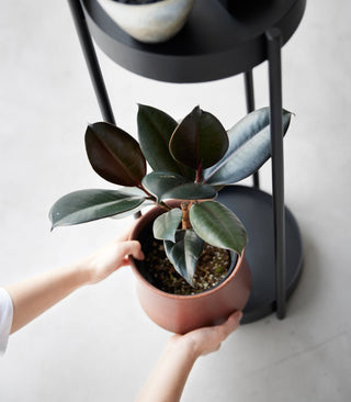 Two-Tier Rolling Plant Stand (28" H)  - Steel - By Baano