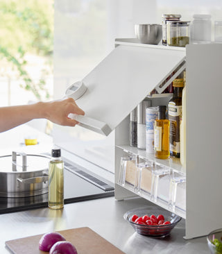 Concealable Spice Rack - Steel - By Baano