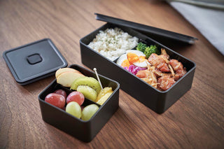 Vacuum-Sealing Bento Box - By Baano