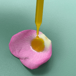 Serenity Calming Facial Serum - By Baano