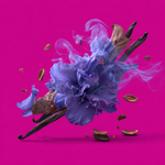 Violet Tabac Fragrance Noir 3.4oz - By Baano