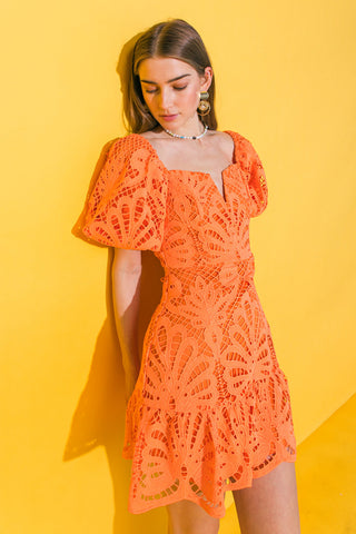 LIFETIME CELEBRATIONS LACE MINI DRESS - By Baano