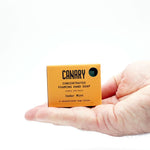 Cedar Mint Concentrated Hand Soap Refill Bars - By Baano