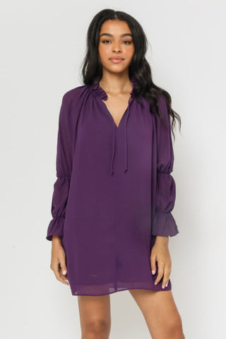 Smocked Sleeve Mini Dress