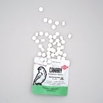 Wintergreen Toothpaste Tablets Canary