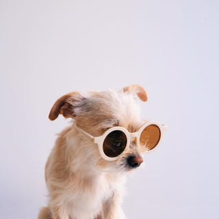 Sunny May Sunnies - Glamourous Grace