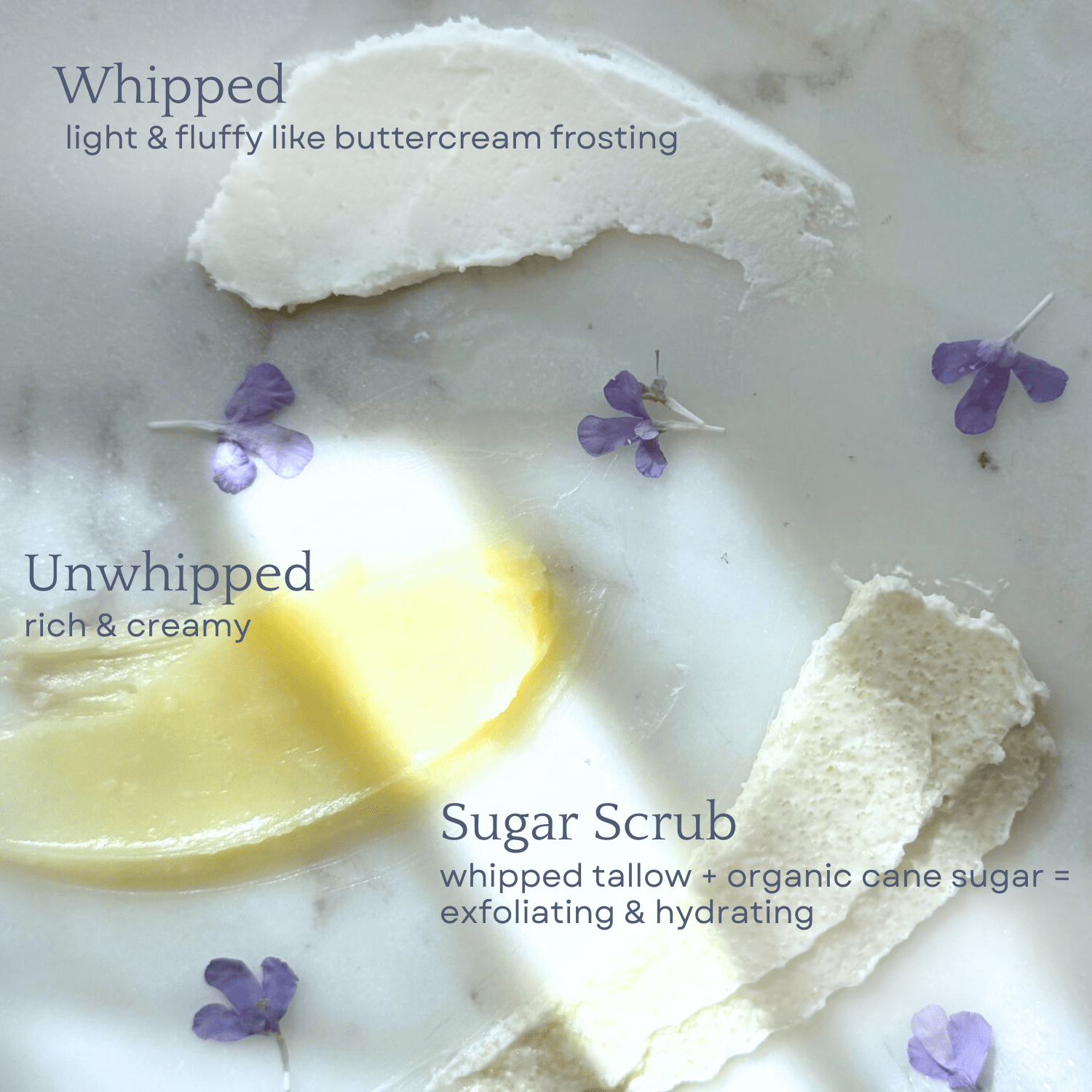 Capsule Skincare Kit - By Baano