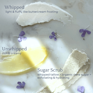 Capsule Skincare Kit - By Baano