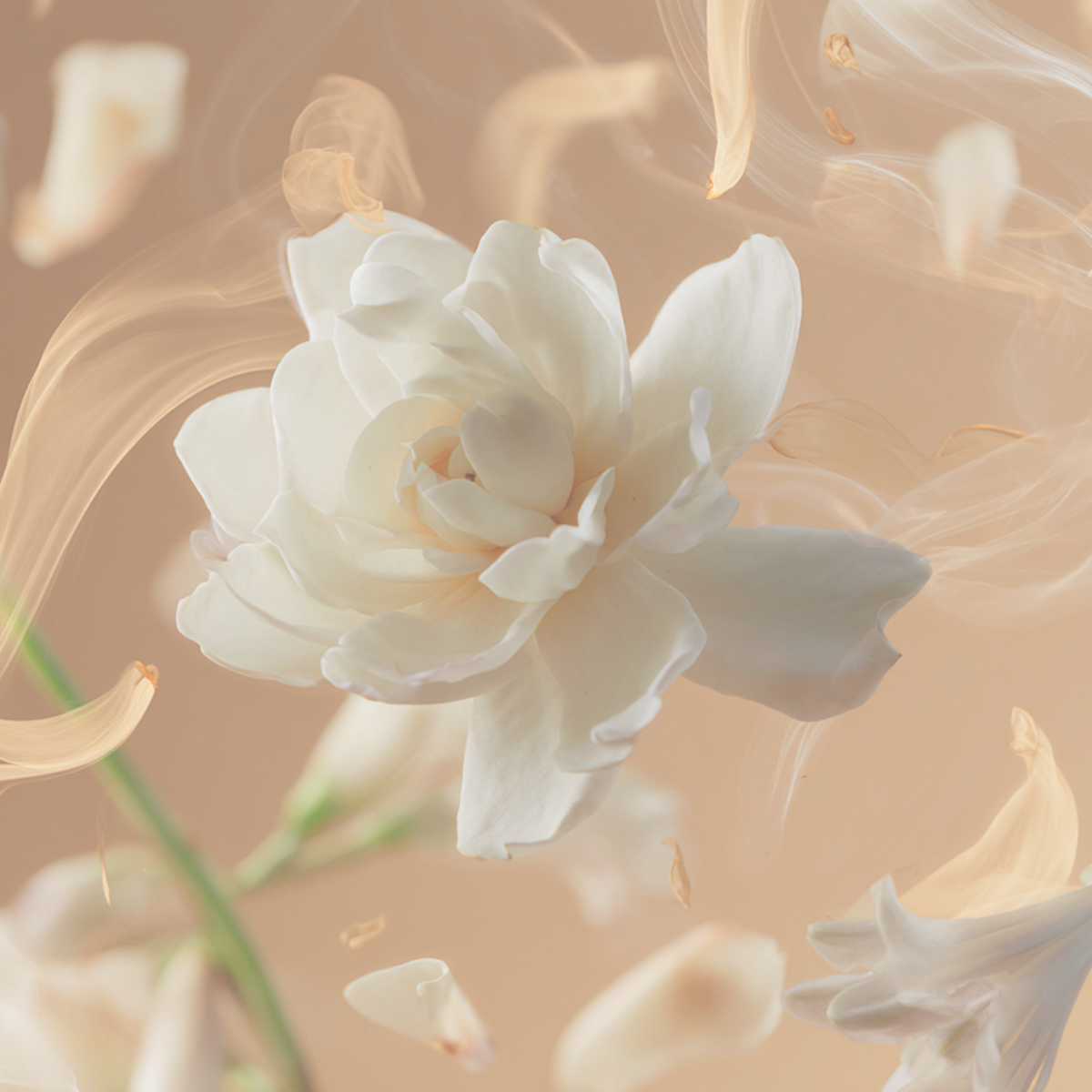 Tallulahs Camellia Fragrance 3.4oz - By Baano