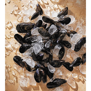Tasting History: Explore the Past through 4,000 Years of Recipes(Spiral Bound) - By Baano