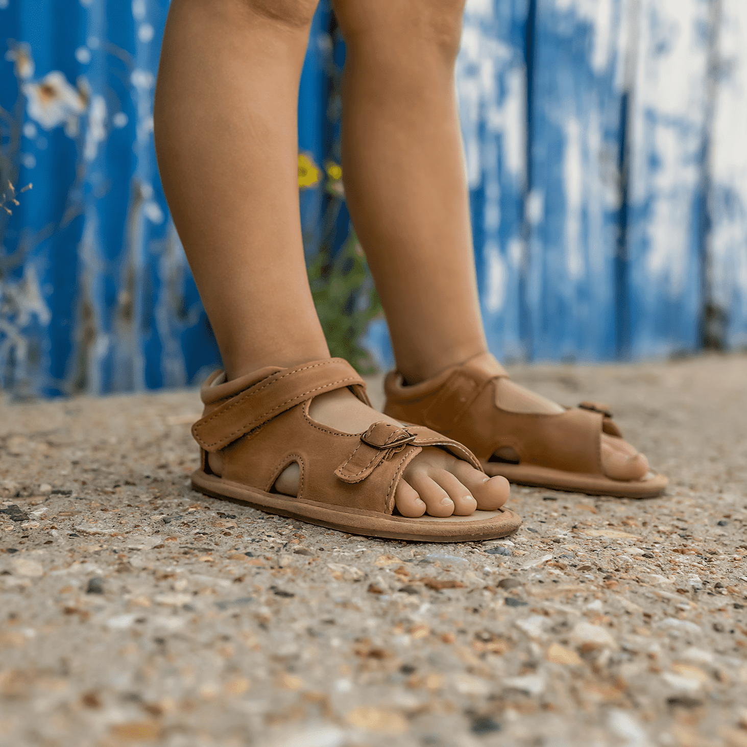 The Felix - Glamourous Grace