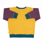 Toddler Colorblock Sweatshirt Peace House Studio