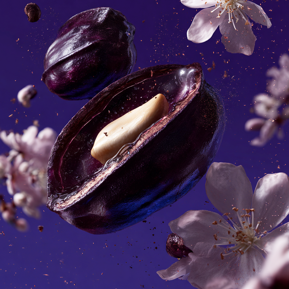 Tonka Angelica fragrance 3.4oz - By Baano