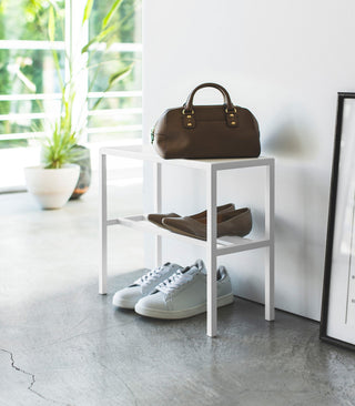 Shoe Organizer (16" H)  - Steel - By Baano