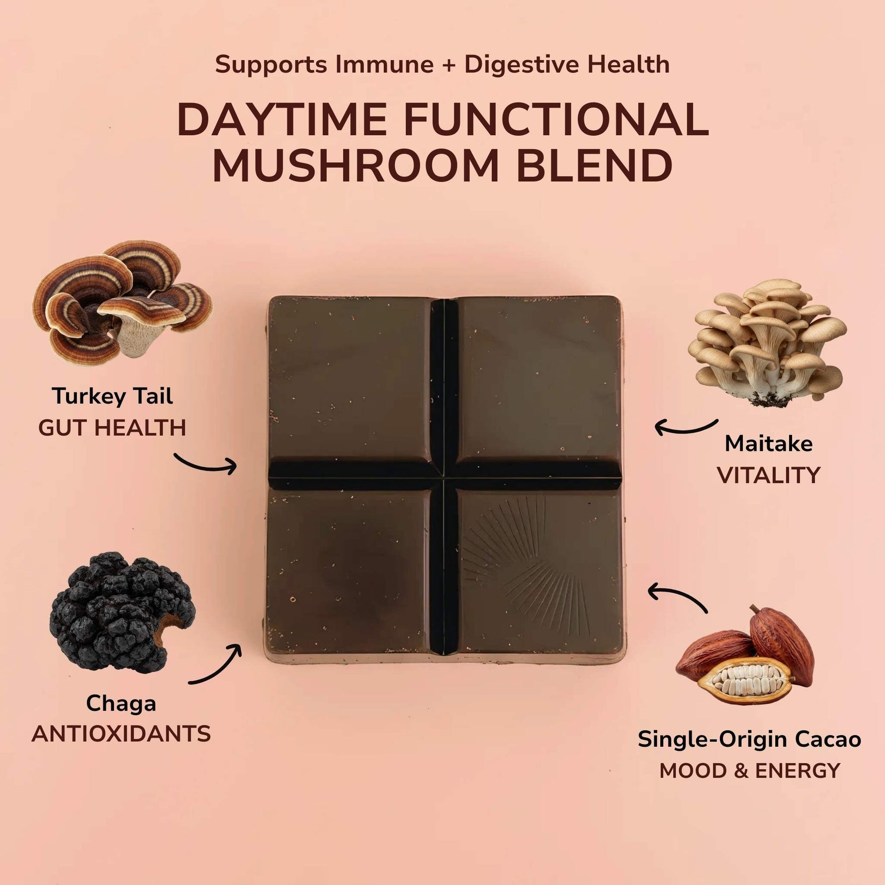 Daytime Immunity Mushroom Chocolates with Turkey Tail, Maitake, & Chaga