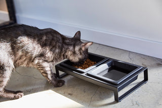 Pet Food Bowl - Steel + Ceramic - By Baano