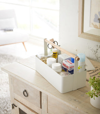 Storage Caddy - Large - Steel + Wood - By Baano