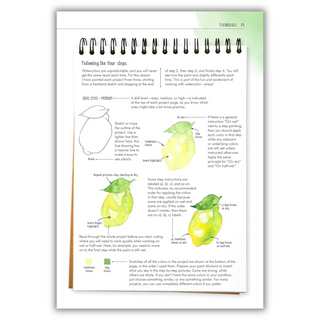 Watercolor Success in Four Steps: 150 Skill-Building Projects to Paint (Spiral Bound) - By Baano