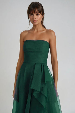 Zoya Strapless Maxi Dress - By Baano