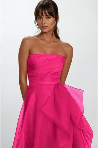 Zoya Strapless Maxi Dress - By Baano