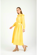 Ruya a Picnic Perfect Dress with Ruffles in Yellow - By Baano